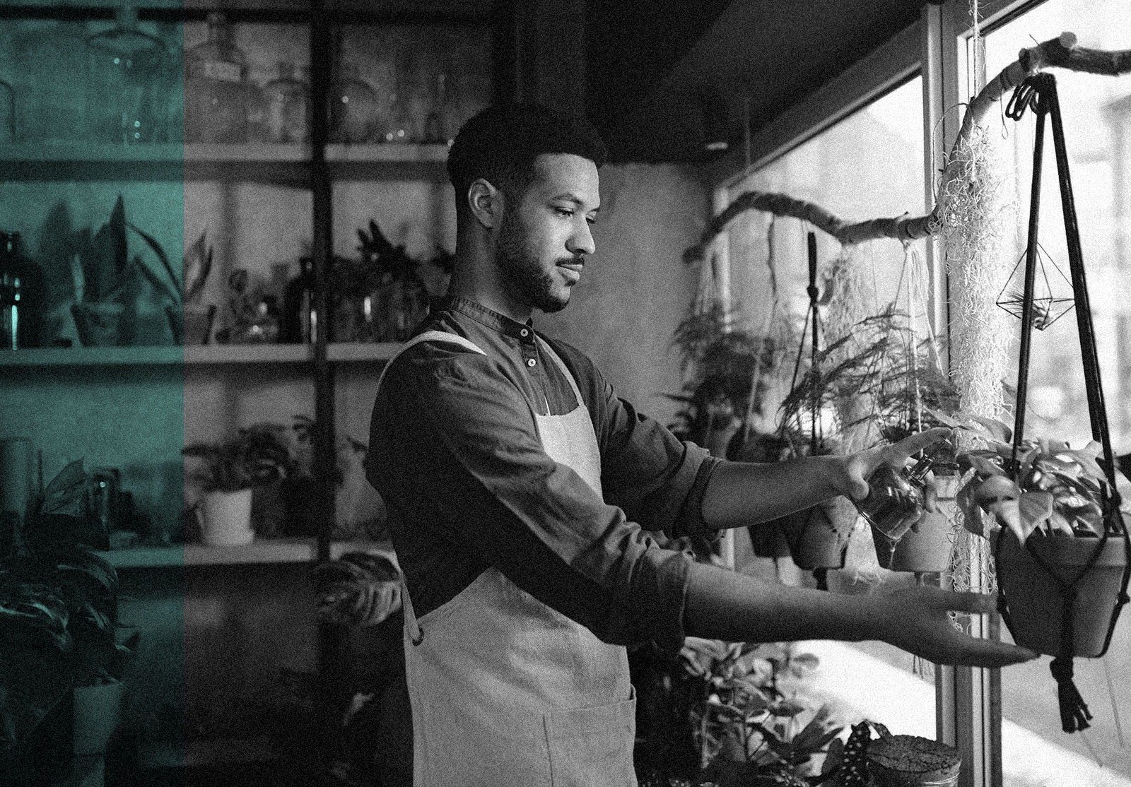 Male shop assistant working in flower shop